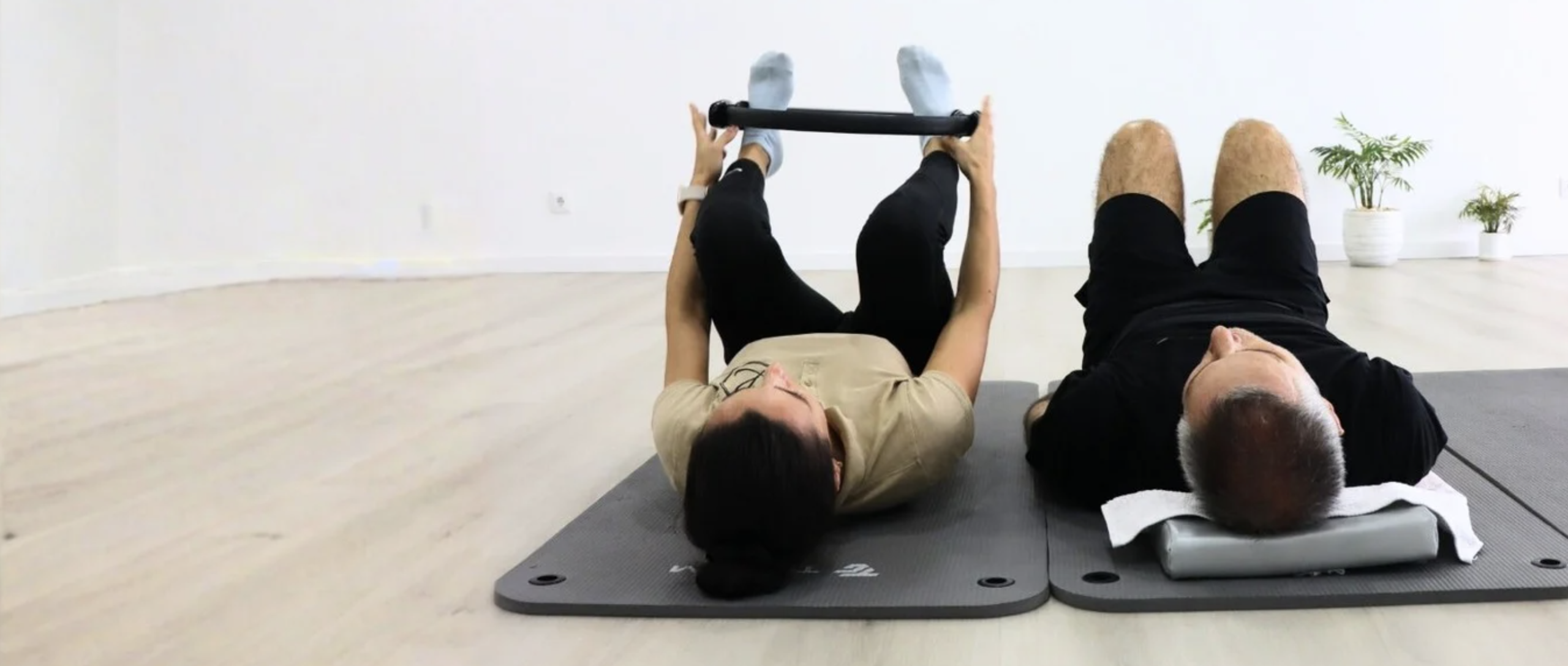 Longevidade - Fisioterapia e Saúde